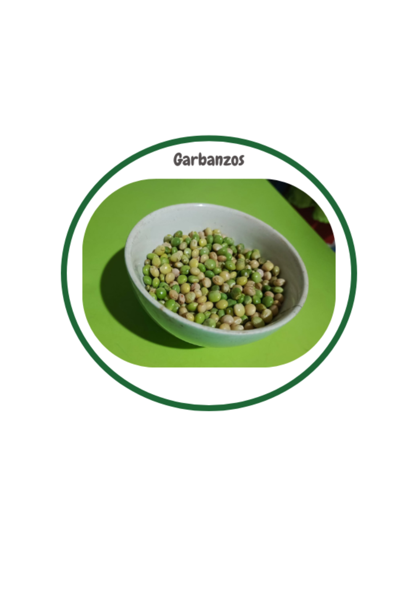 alimento tradicional garbanzo